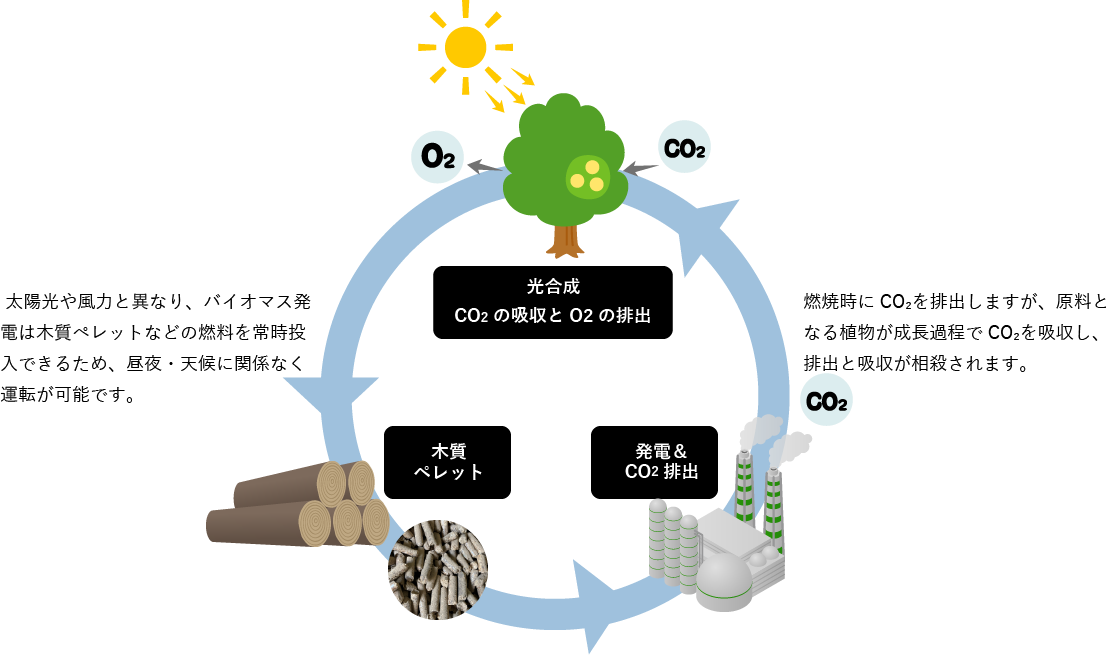 バイオマス発電の仕組み